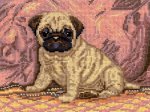 (image for) Pug